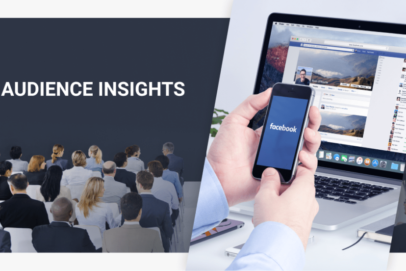 How do I use Facebook Audience Insights for niche keywords research?